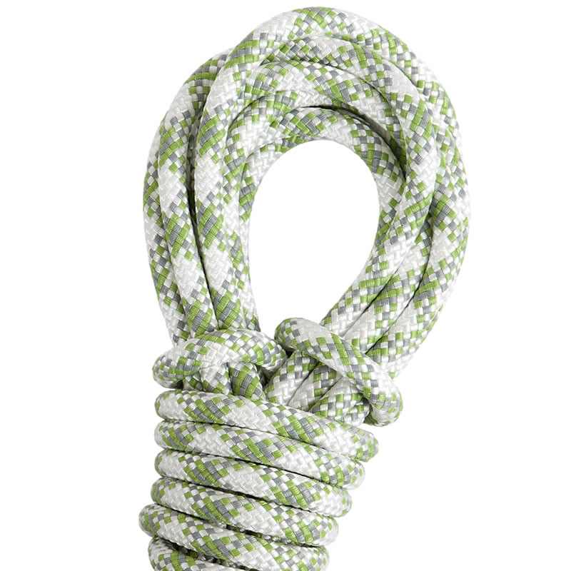 Patron 10.5  (cod: 8411)