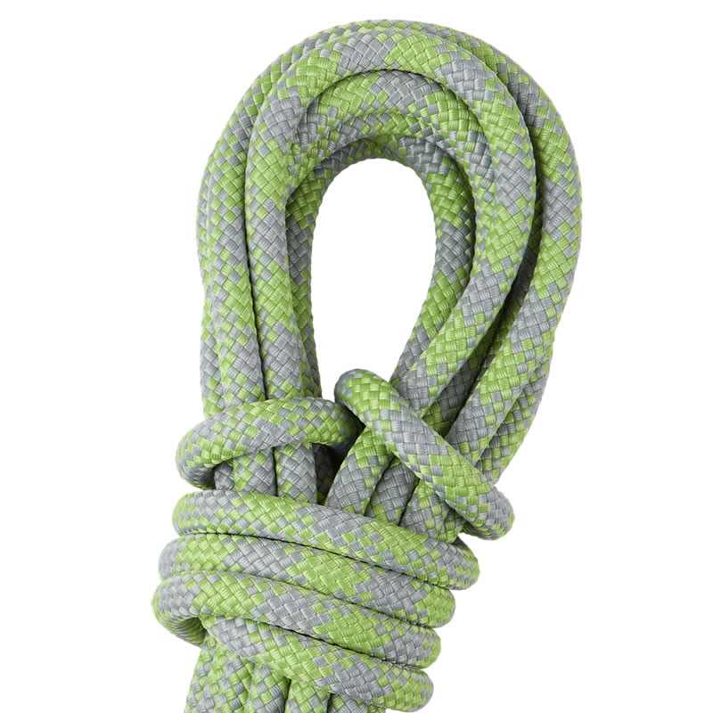 Patron 12 (cod: 8412)